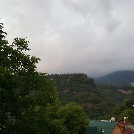 Hillside Orbeliani Residence Borzsomi Kültér fotó